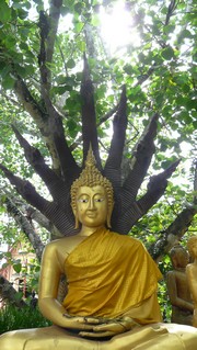 meditation lessons